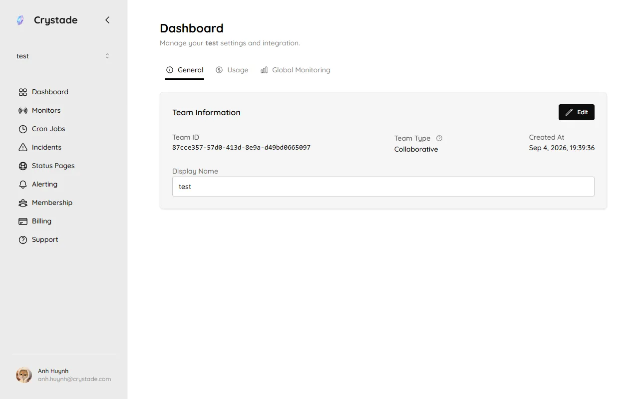 Team Dashboard with General, Usage, and Global Monitoring tabs